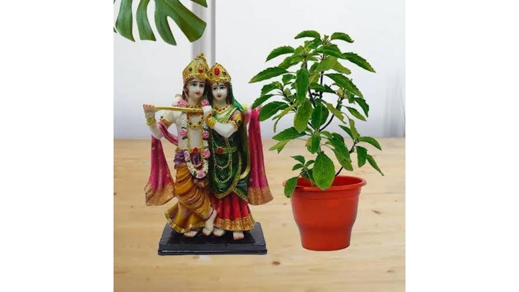 karthika pournami importance