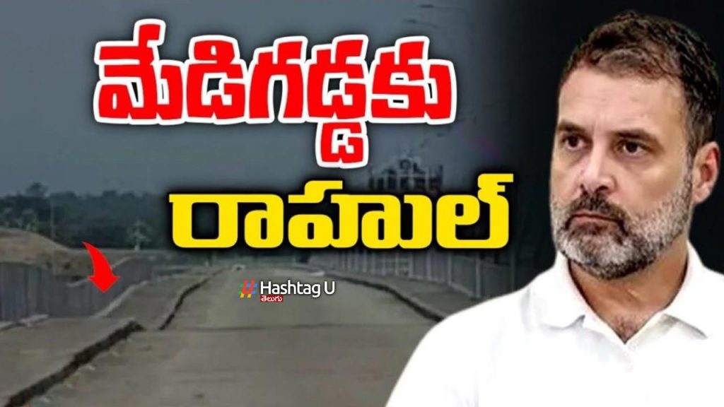 Rahul Mediagadda