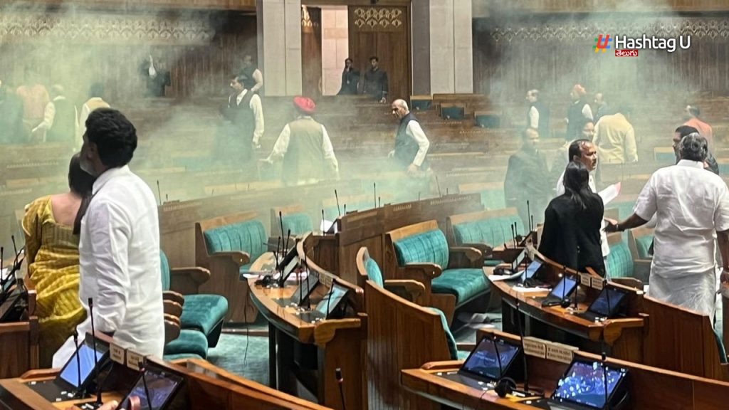 2 Visitors Jump Into Lok Sabha Chamber