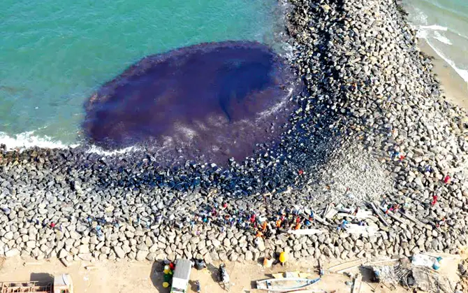 Ennore Oil Spill: ఎన్నూరులో ఆయిల్ బాధితులకు ప్రభుత్వం సాయం