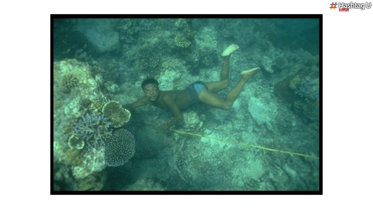 Breath Underwater : ఊపిరి బిగబట్టుకొని నీళ్లలో 5 నిమిషాలు ఈత కొట్టగలరు.. ‘సమా బజౌ’ తెగ విశేషాలు