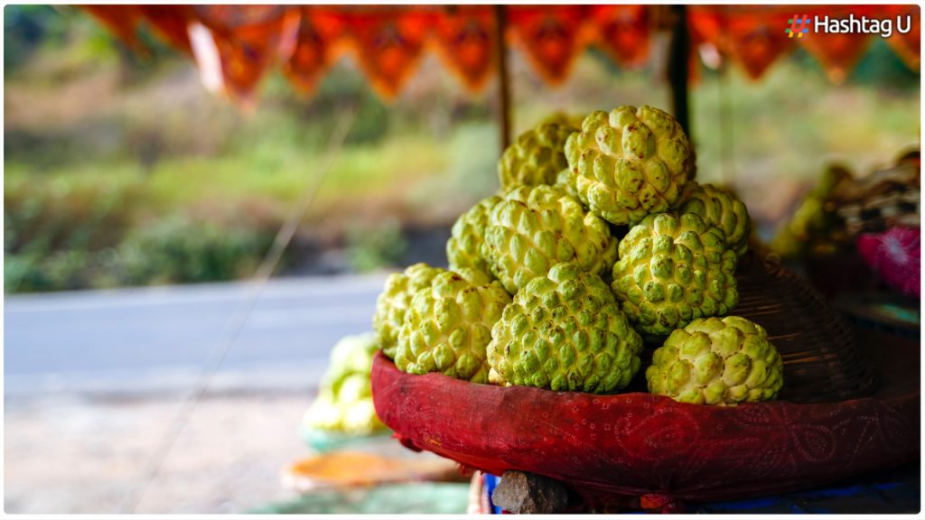 Diabetes Patients Can Eat Custard Apple.. Do You Know What Happens If You Eat It..