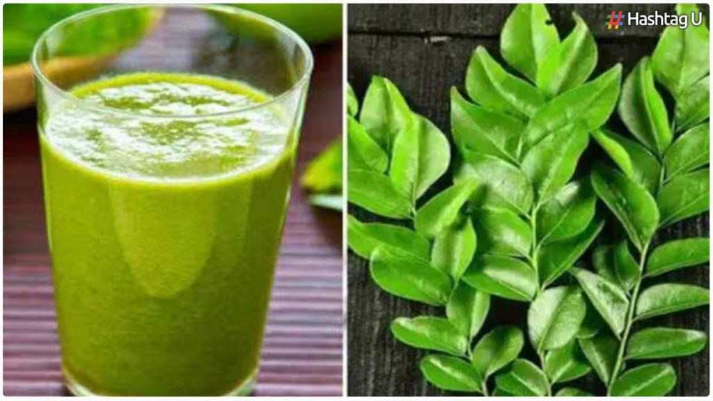 Do You Know The Amazing Benefits Of Curry Leaves Juice..