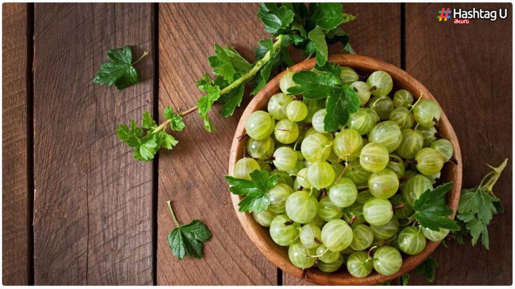Do You Know The Benefits Of Eating Amla In Winter..