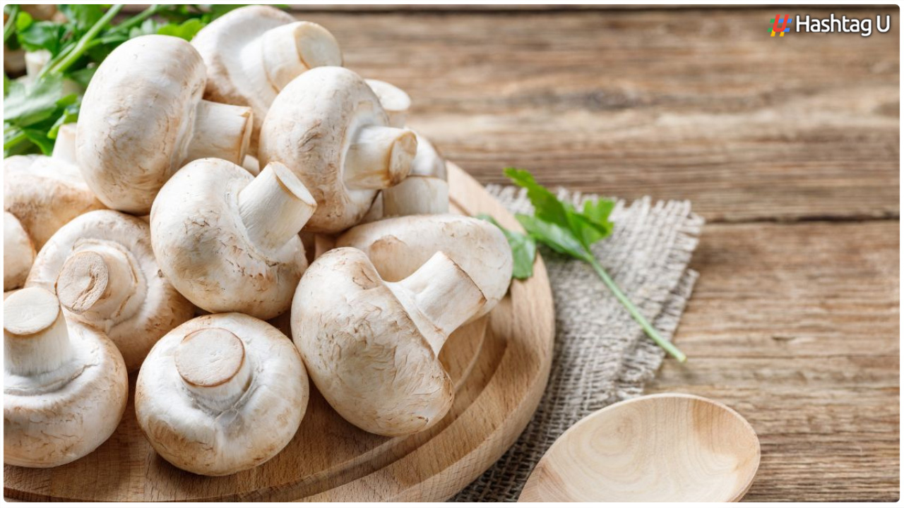 Mushroom Benefits: పుట్టగొడుగులు తింటే కలిగే ఆరోగ్య ప్రయోజనాలు ఇవే..!