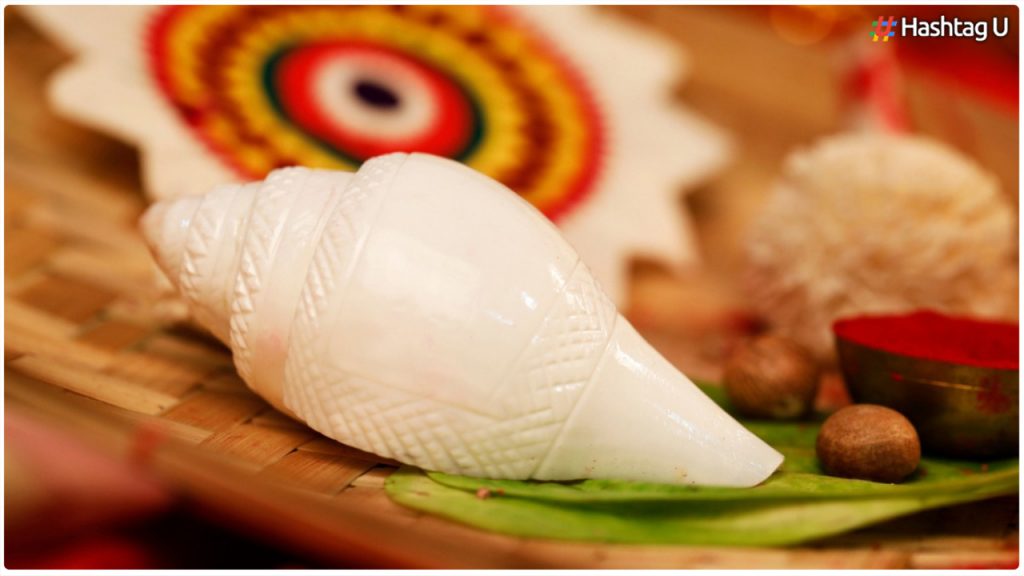 Do You Know The Results Of Worshiping Any Conch Shell At Home..