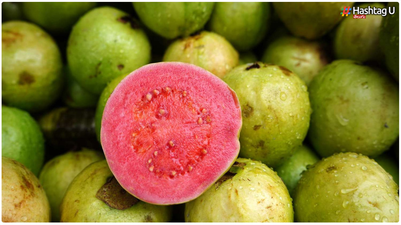 Guava Fruit : జామ పండుతో మెరిసే అందాన్ని మీ సొంతం చేసుకోండిలా?