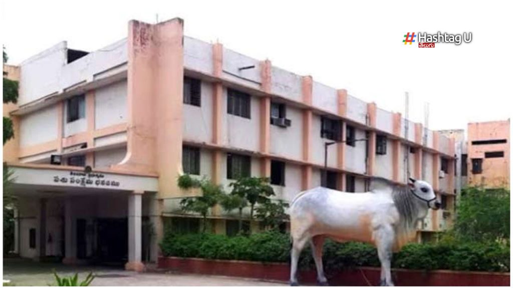 Files Lost In Telangana Ani