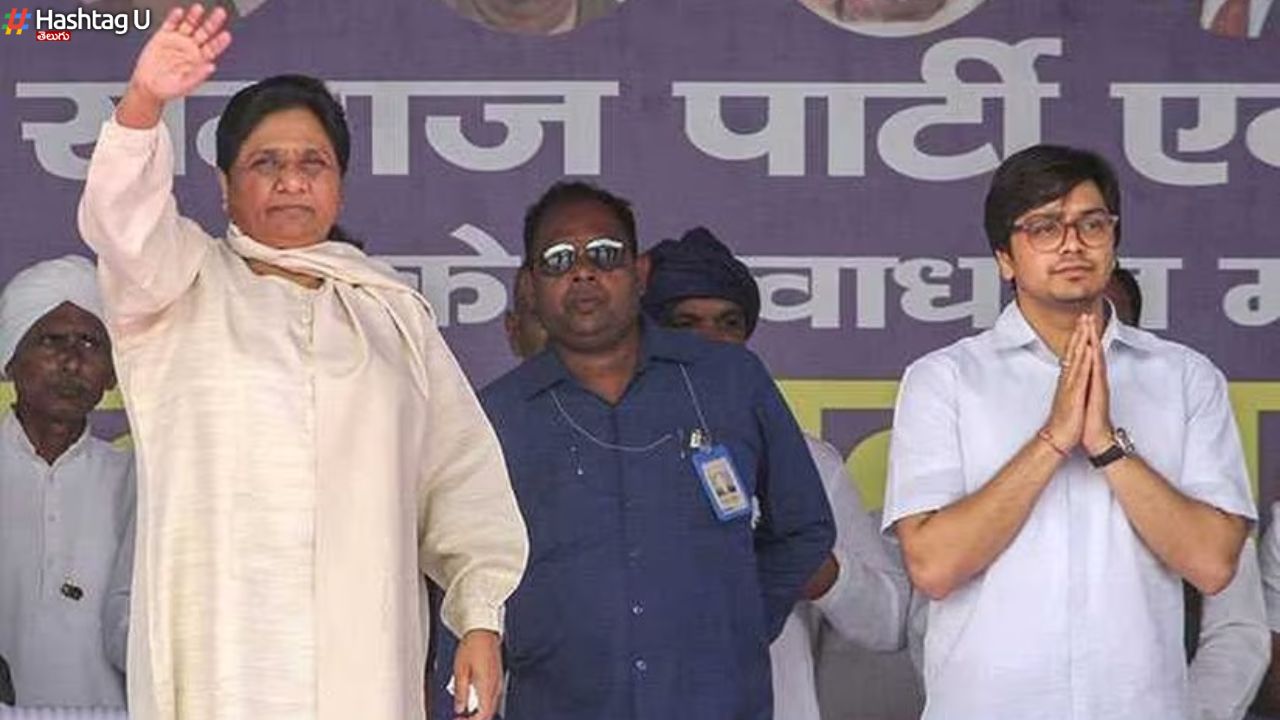 Mayawati Successor : రాజకీయ వారసుడి పేరును ప్రకటించిన మాయావతి