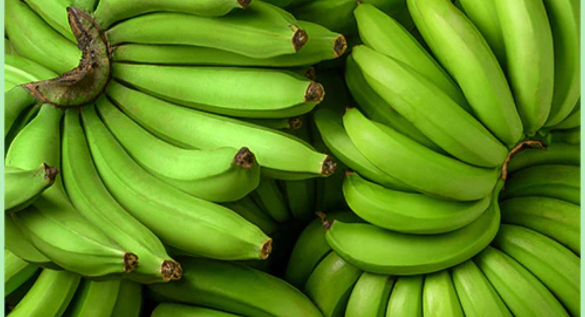 Raw Banana Benefits: పచ్చి అరటిపండ్ల వల్ల కలిగే అద్భుతమైన ప్రయోజనాల గురించి మీకు తెలుసా?