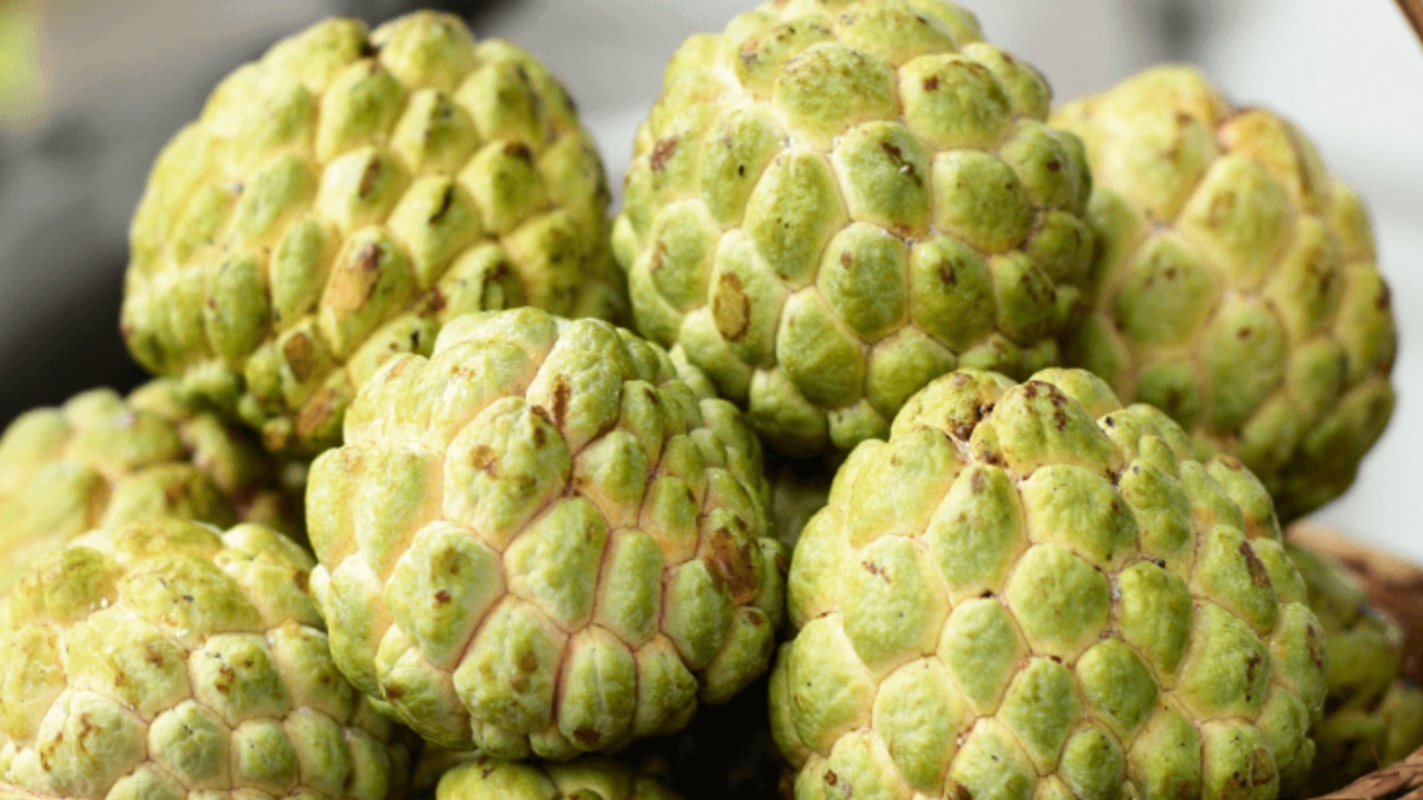 Custard Apple: సీతాఫలం తినడం వల్ల కలిగే అద్భుతమైన ప్రయోజనాల గురించి మీకు తెలుసా?