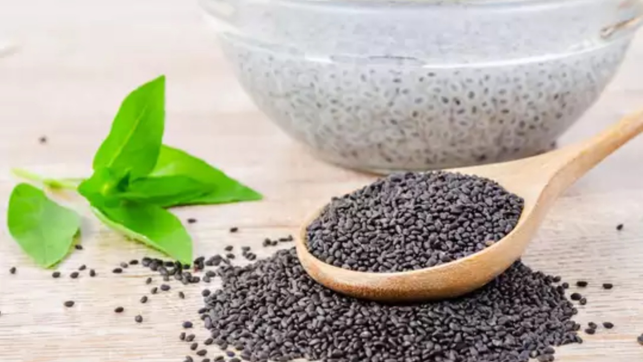 Chia Seeds: చియా గింజల వల్ల కలిగే అద్భుతమైన ప్రయోజనాల గురించి మీకు తెలుసా?