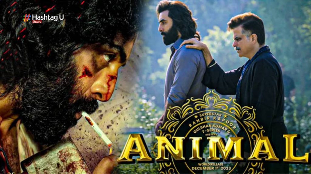 Ranbir Kapoor Animal Review