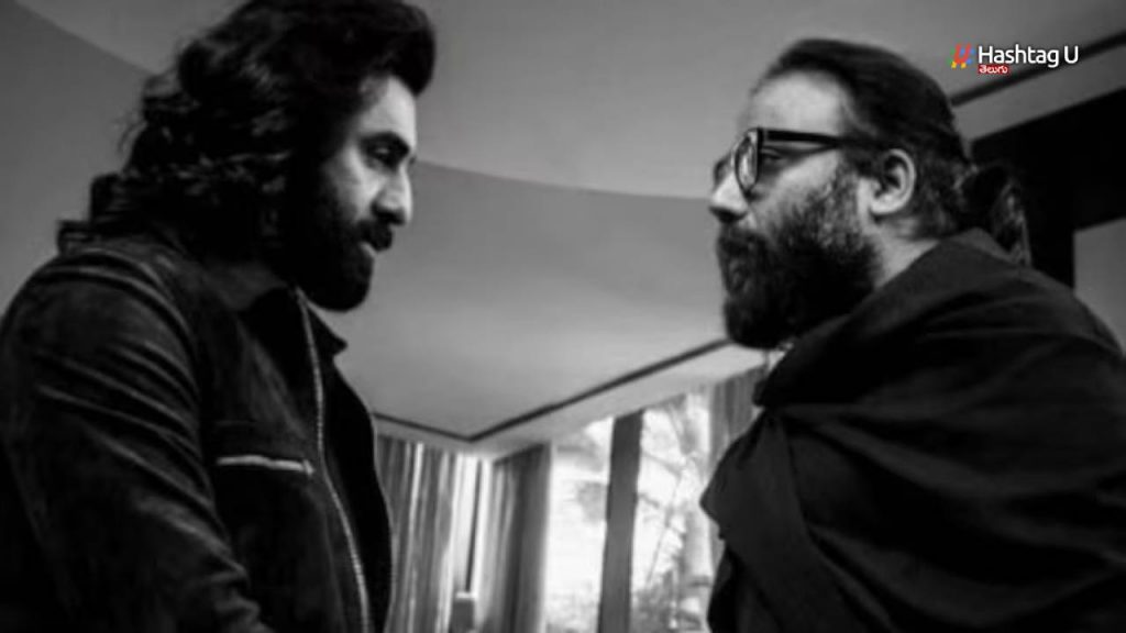 Sandeep Vanga Ranbir Another Movie Planing