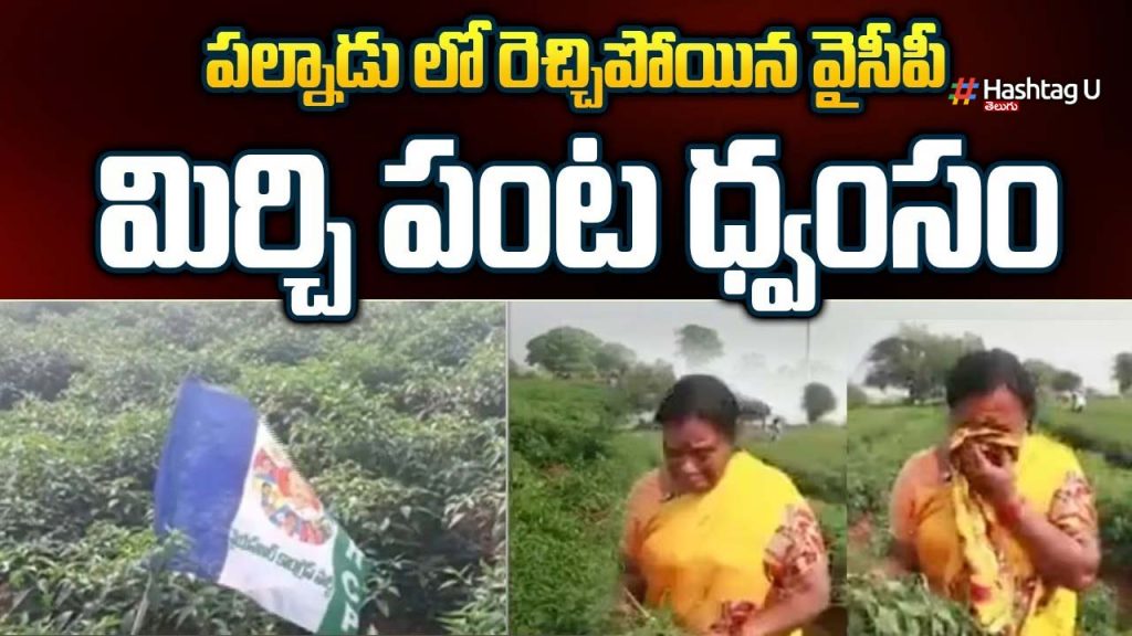 Ycp Leaders Destroyed Tdp L