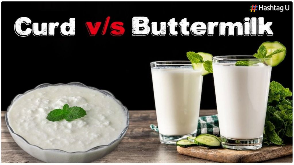 Yoghurt, Buttermilk.. Do You Know Which One Is Better For Health..