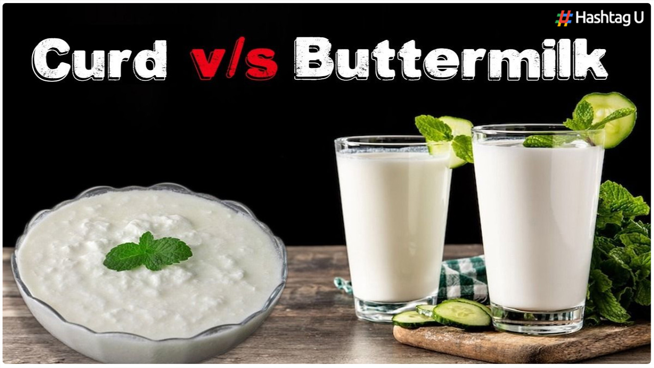 Yoghurt vs Buttermilk : పెరుగు, మజ్జిగ.. ఈ రెండింటిలో ఆరోగ్యానికి ఏది మంచిది మీకు తెలుసా?