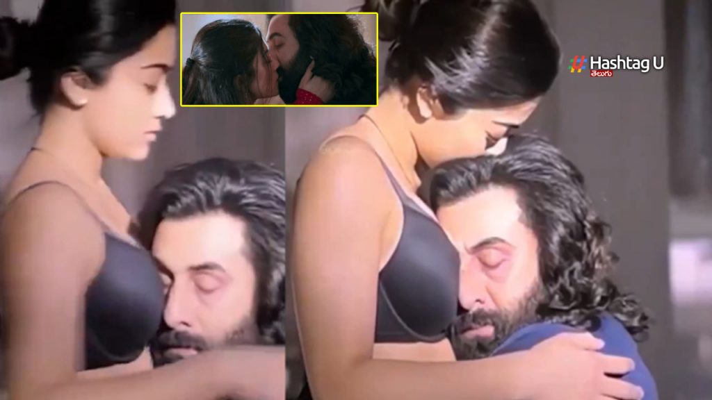 Ranbir - Rashmika Animal Romantic Scenes