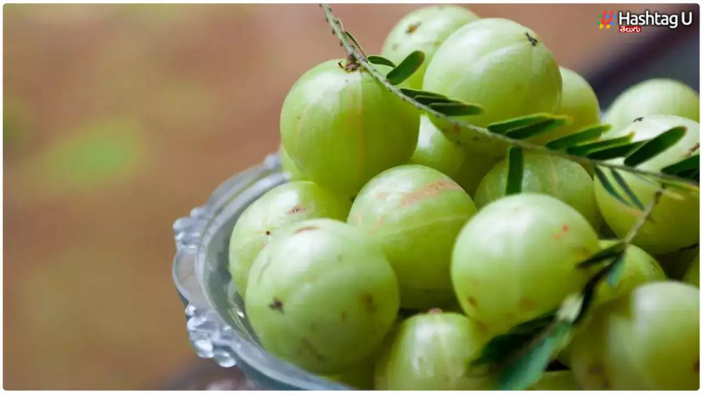 Amla If You Know About The Benefits Of Eating Amla, You Can't Avoid Eating It At All