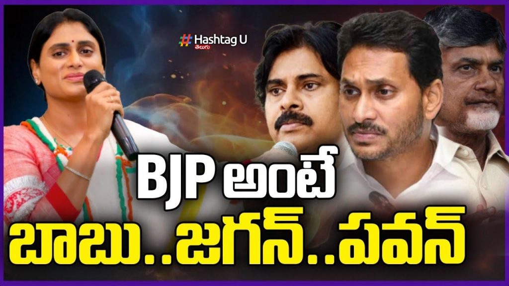 Bjp Means Babu Jagan Pa
