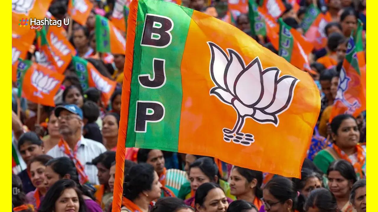 BJP: రాజ్యసభ ఎన్నికలకు కీలక అభ్యర్థులను ఫిక్స్ చేసిన బీజేపీ అధిష్ఠానం