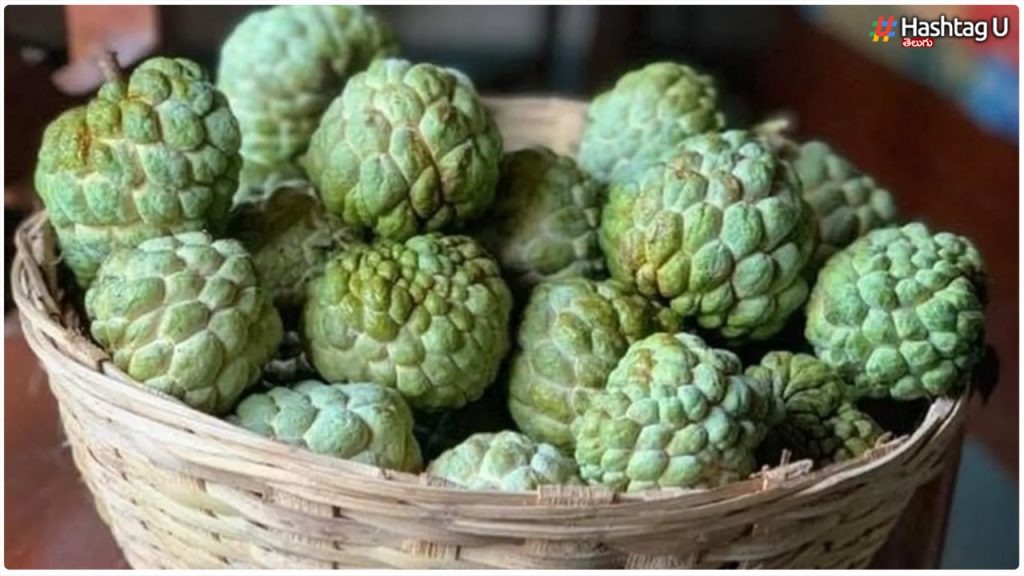 If People With Those Three Types Of Diseases Eat Custard Apple, The Same Thing Will Happen..