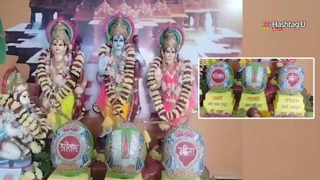 Konaseema Coconut Bonds Ayo