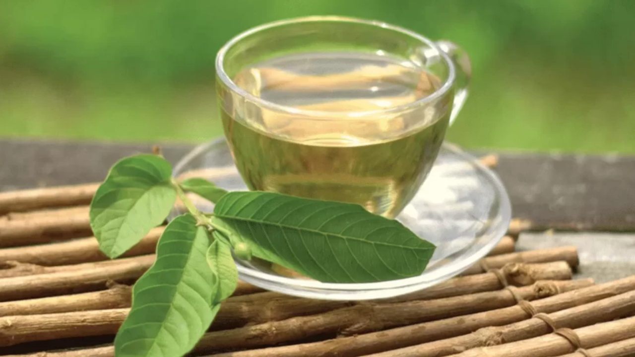 Guava leaf tea: చలికాలంలో జామ ఆకు టీ తాగడం వల్ల కలిగే అద్భుతమైన ప్రయోజనాలు ఇవే?