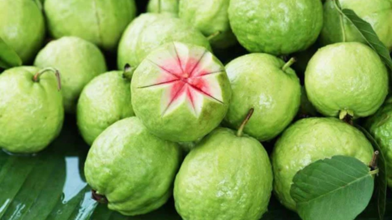 Guava: జామపండు ఆరోగ్యానికి మంచిదే కానీ.. ఆ సమస్య ఉన్నవారు తీసుకుంటే మాత్రం ప్రమాదమే?