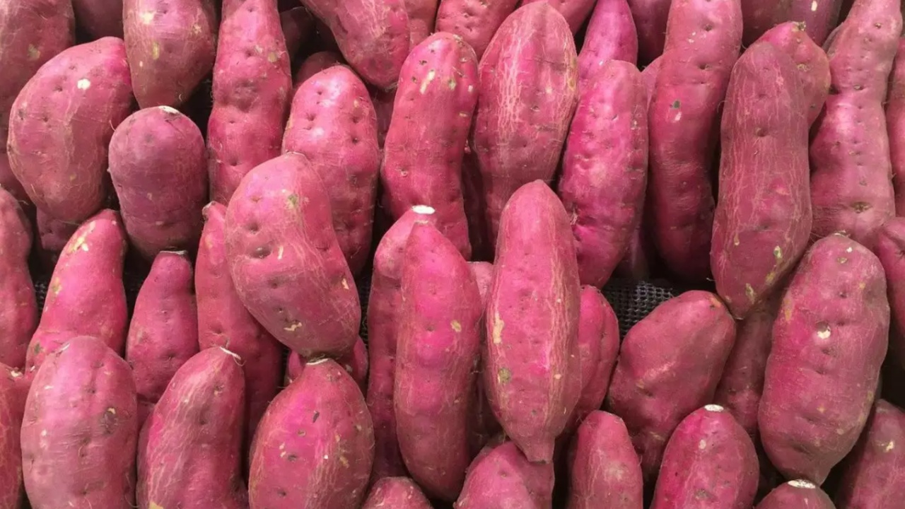 Sweet Potato Benefits: వామ్మో చిలగడదుంప వల్ల ఏకంగా అన్ని రకాల ప్రయోజనాలా?