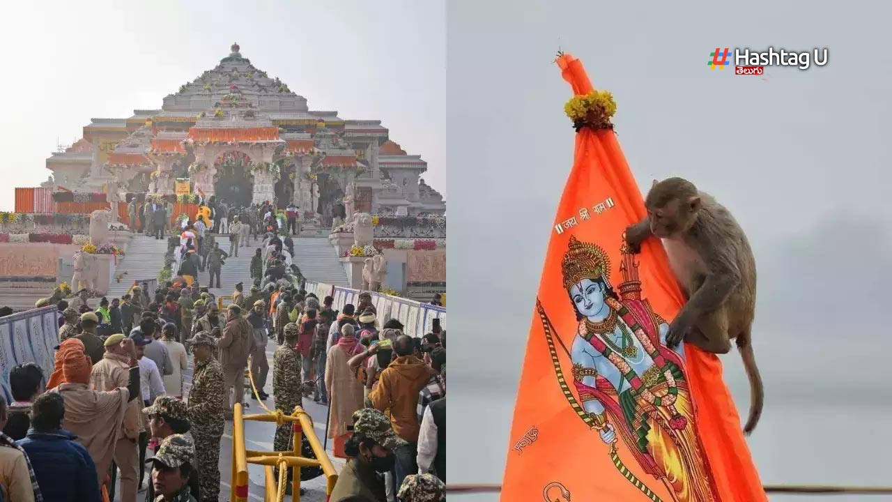 ‘Lord Hanuman visits Ram Lalla’ : అయోధ్య రామమందిరానికి వచ్చిన హనుమంతుడు..సంబరాల్లో భక్తులు