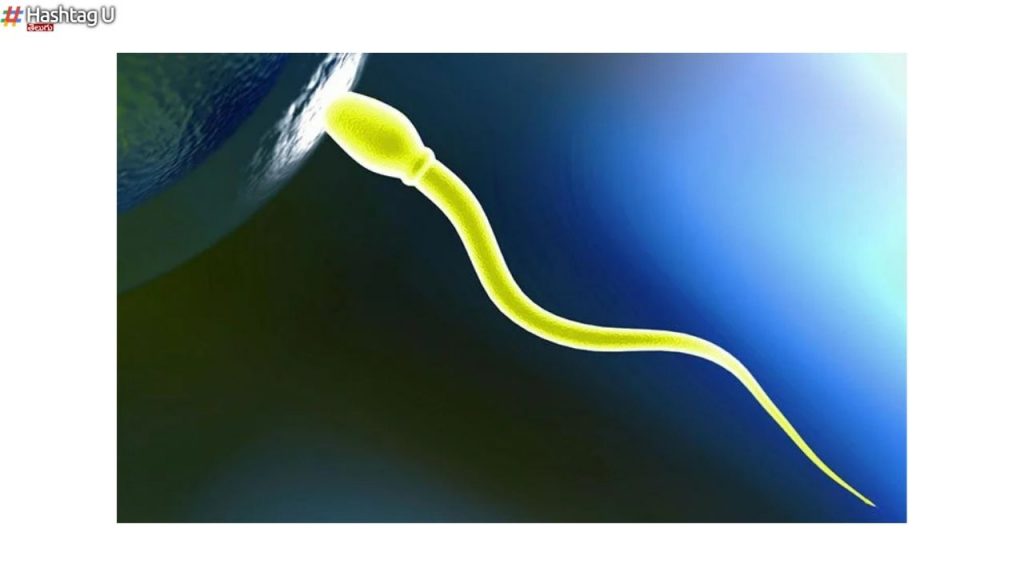 Sperm Color