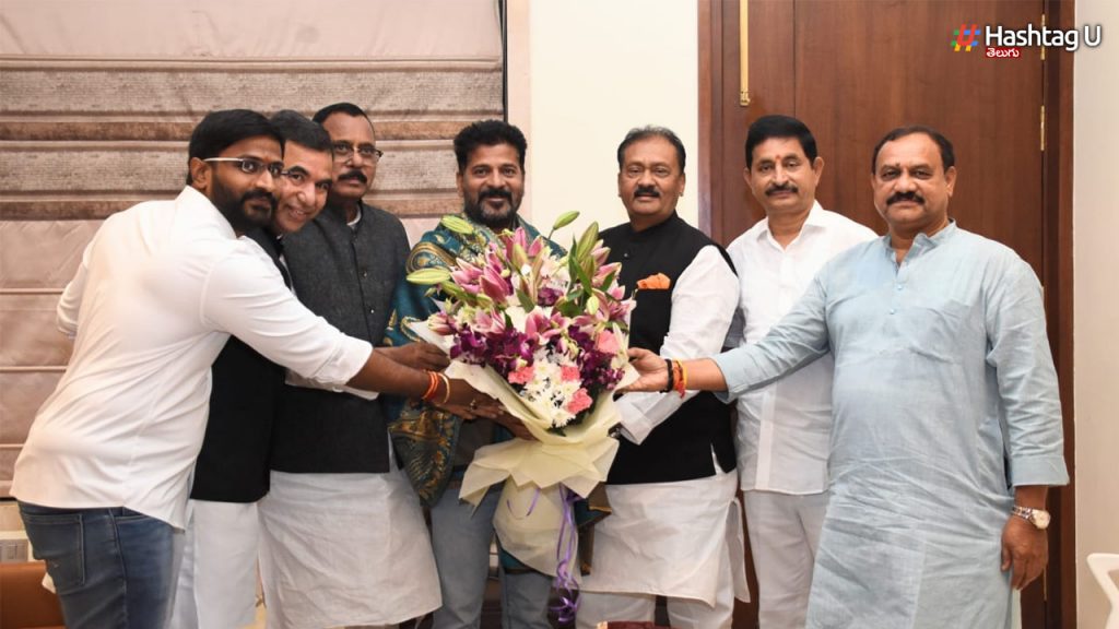 Mlc And Advicers