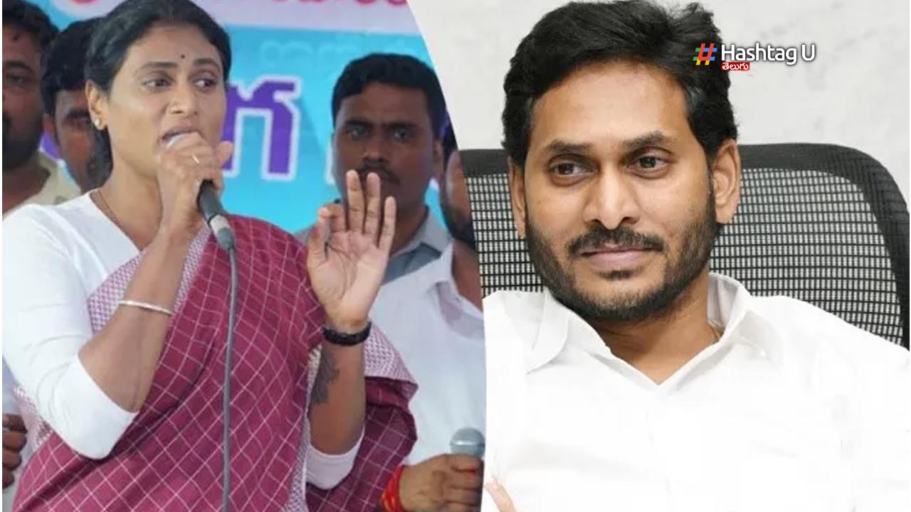 YS Sharmila : జగన్ వ్యాఖ్యలపై షర్మిల రియాక్షన్..నాకు వ్యక్తిగతంగా నష్టం చేసినా భరించాను