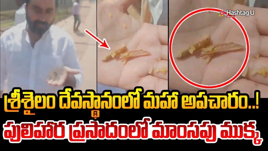 A Piece Of Meat In Prasadam
