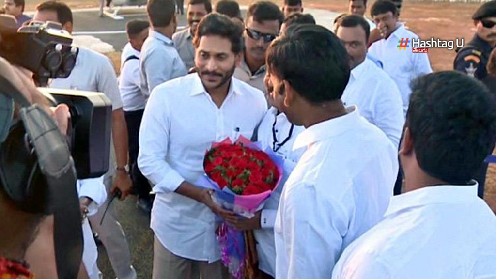 Eluru Is The Winner Of 'adu