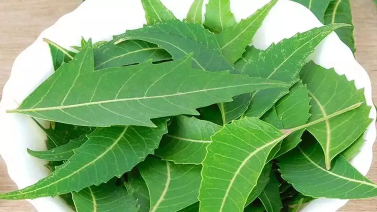 Neem Leaves: వామ్మో.. వేపాకు వల్ల అందానికి ఏకంగా అన్ని రకాల ప్రయోజనాలా?
