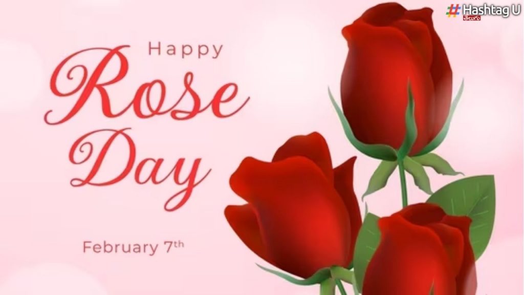 Rose Day