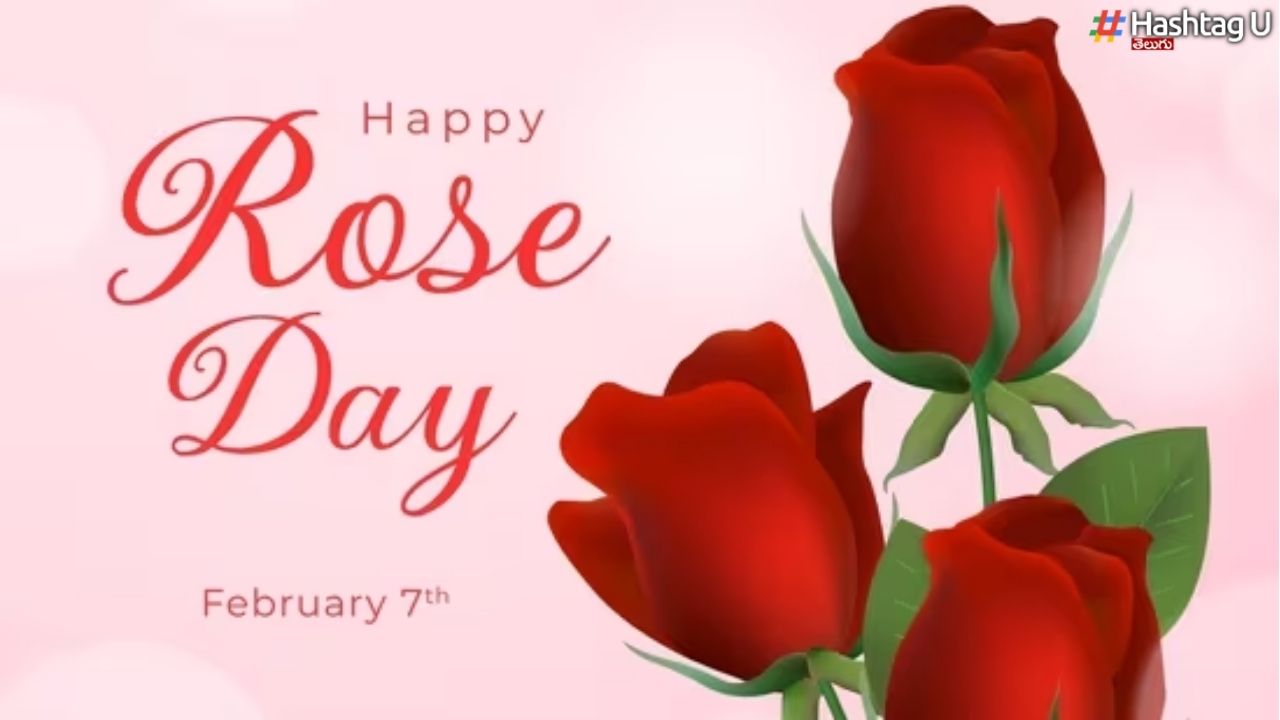 Rose Day : నేడే రోజ్ డే.. గులాబీల రంగులకు అర్థాలే వేరులే !