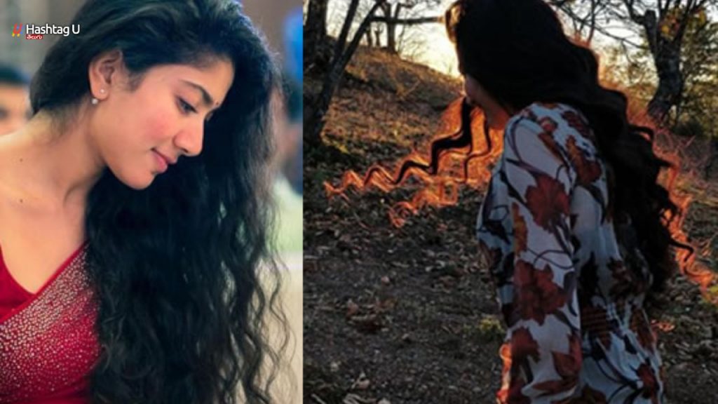 Sai Pallavi Secretly Going To Japan With Star Hero Son