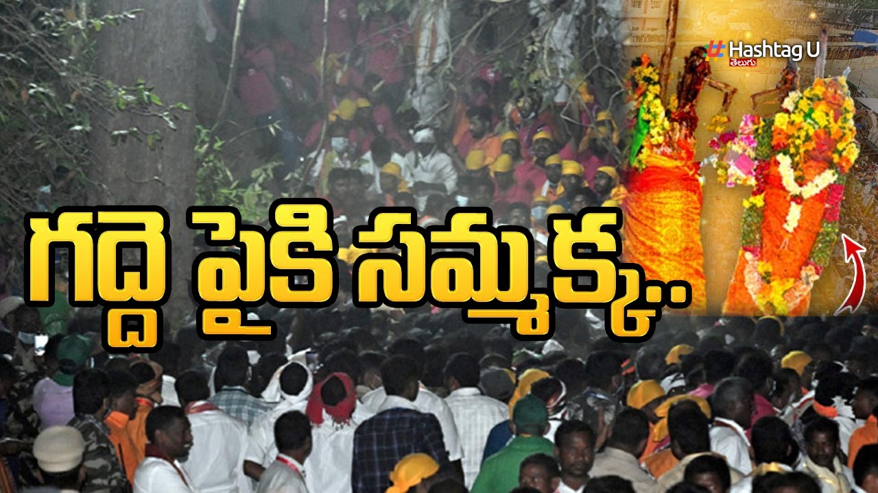 Medaram-Samakka : గద్దె మీదకు చేరుకున్న సమ్మక్క