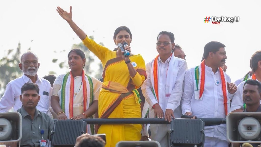 Sharmila Jagan Cat