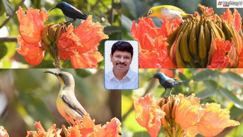 Sunbird Mp Santosh