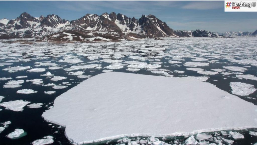 Arctic Ocean Ice