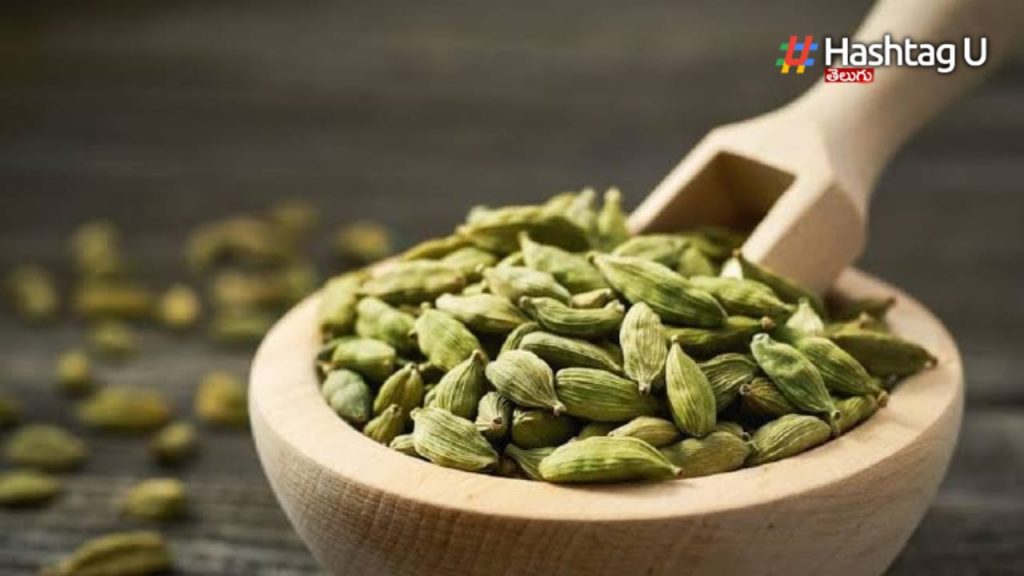 Cardamom