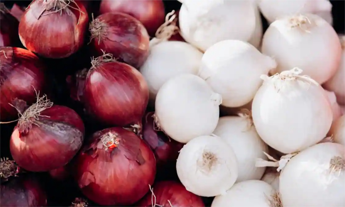 Onions: తెల్ల ఉల్లిగడ్డ, ఎర్ర ఉల్లిగడ్డ.. ఈ రెండింటిలో ఆరోగ్యానికి ఏది మంచిదో మీకు తెలుసా?