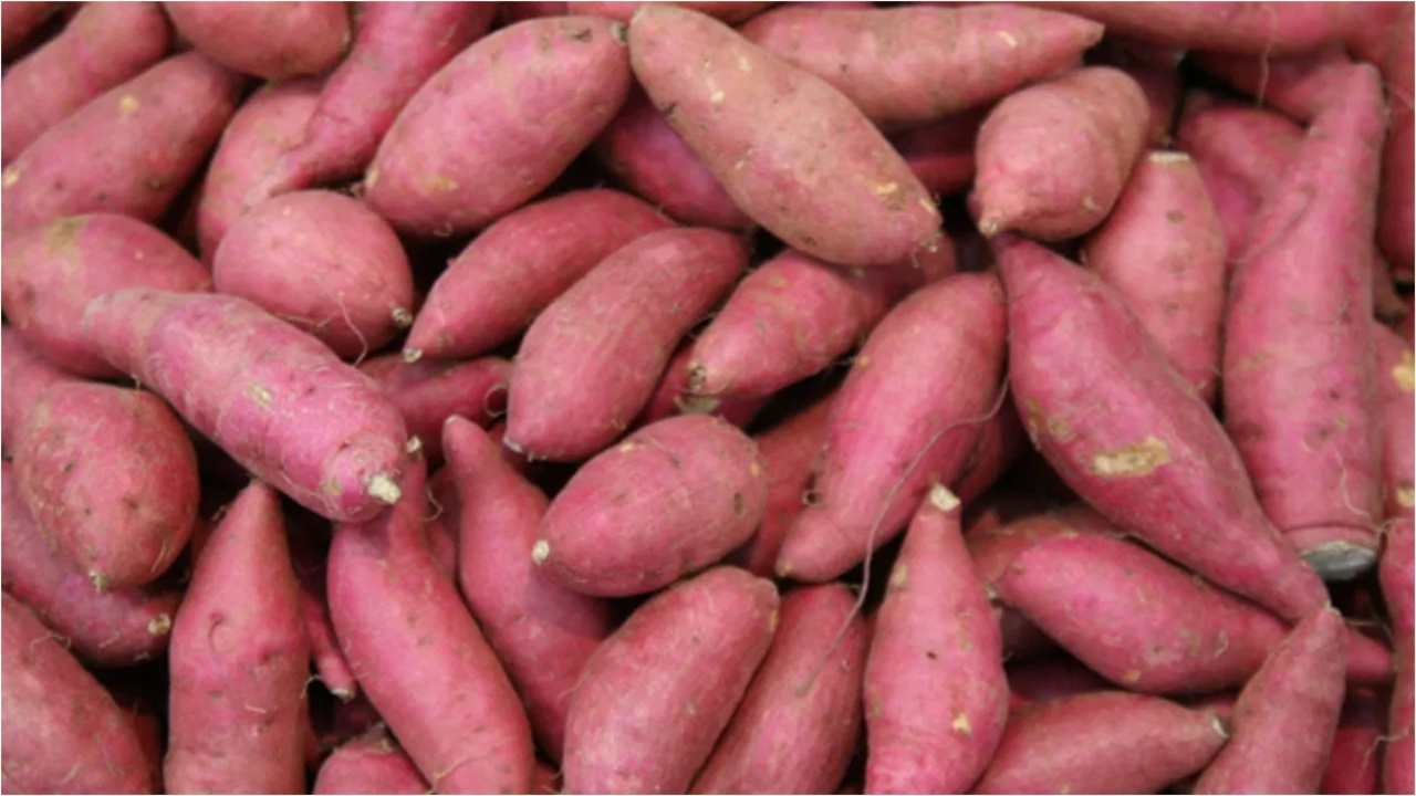 Sweet Potato: చిలగడదుంప వల్ల కలిగే అద్భుతమైన ప్రయోజనాల గురించి తెలిస్తే షాకవ్వాల్సిందే?