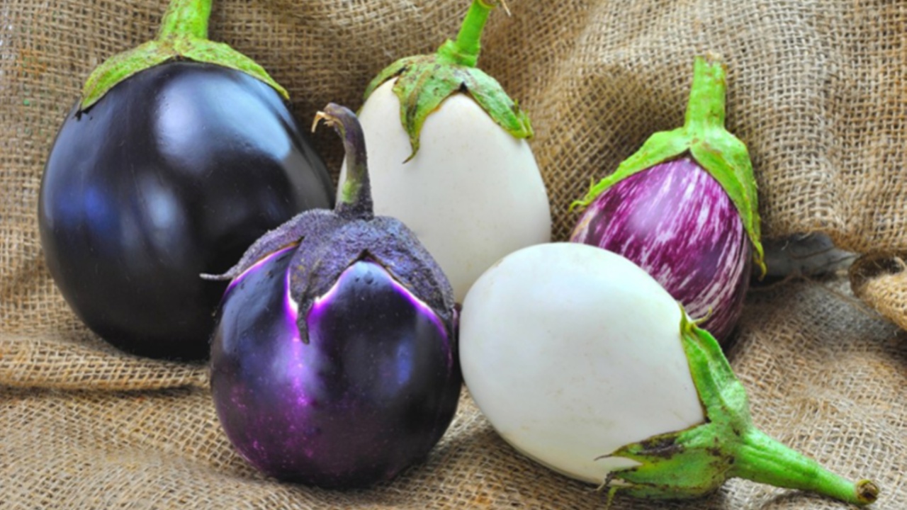 Eggplant: వంకాయను దూరం పెడుతున్నారా.. అయితే ఇది తెలుసుకోవాల్సిందే?
