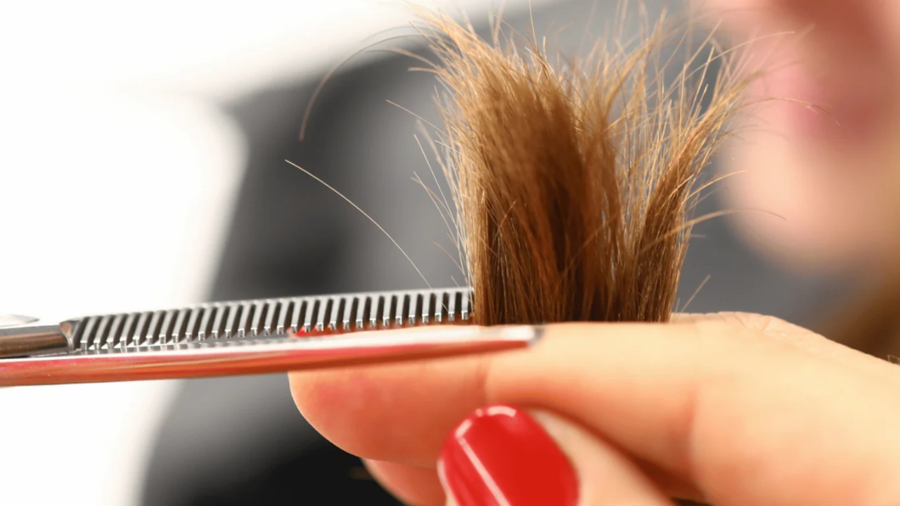 Hair Tips: జుట్టు చివర్ల చిట్లిపోతున్నాయా.. అయితే ఈ టిప్స్ పాటించాల్సిందే?
