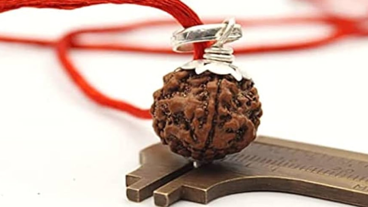 Real Rudraksha : రియల్ రుద్రాక్షను గుర్తించేదెలా ?